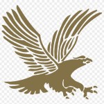 Embry-Riddle Aeronautical